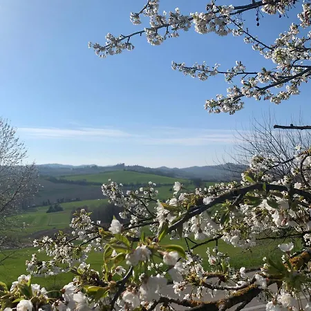 Enoagriturismo L' Acino D'uva Alloggio per agriturismo Cunico