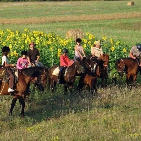 Enoagriturismo L' Acino D'uva Feriegård Cunico