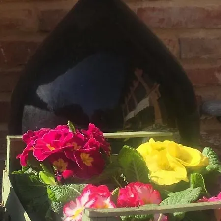 Enoagriturismo L' Acino D'uva Feriegård *