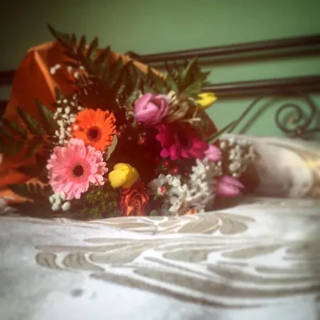 Enoagriturismo L' Acino D'uva *