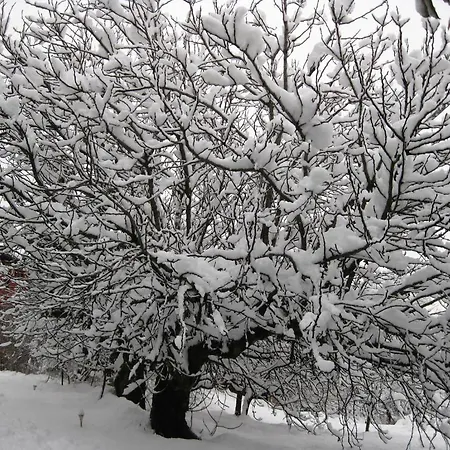 Enoagriturismo L' Acino D'uva Alloggio per agriturismo Cunico