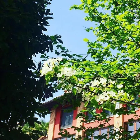 Enoagriturismo L' Acino D'uva