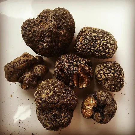 Enoagriturismo L' Acino D'uva *