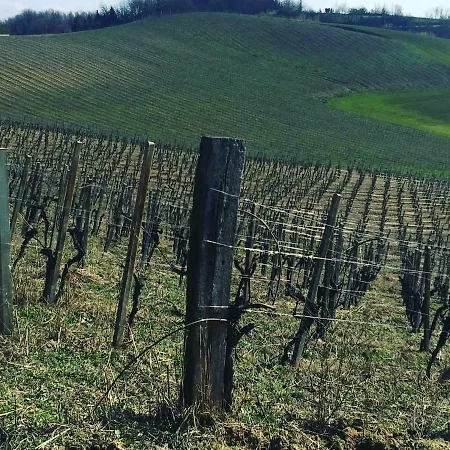 Enoagriturismo L' Acino D'uva