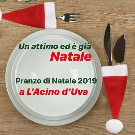 Enoagriturismo L' Acino D'uva Feriegård *