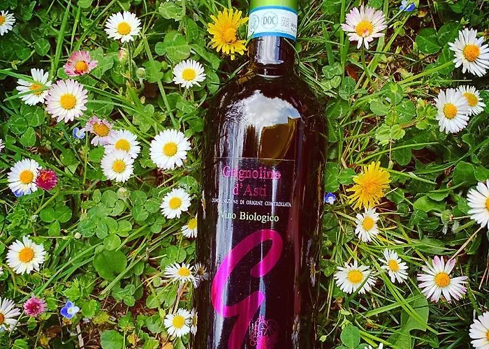 Enoagriturismo L' Acino D'uva *