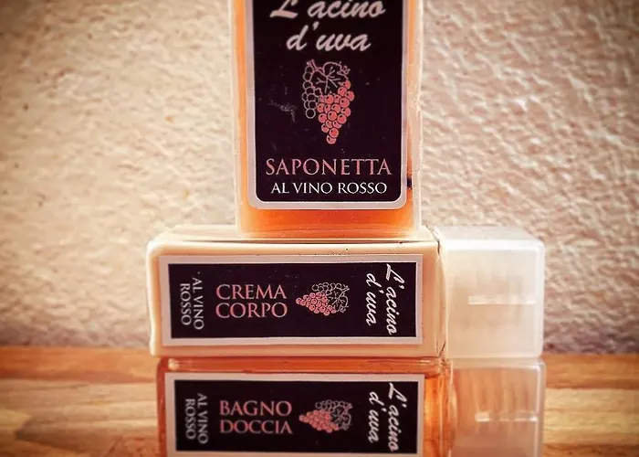 Enoagriturismo L' Acino D'uva *