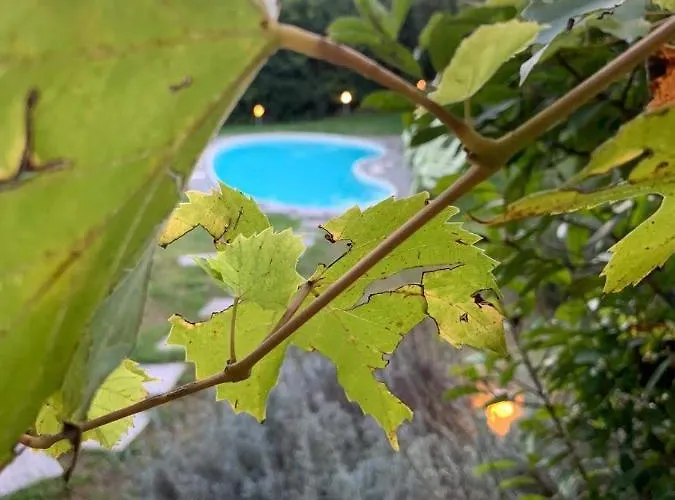 Enoagriturismo L' Acino D'uva مزرعة للإقامة Cunico