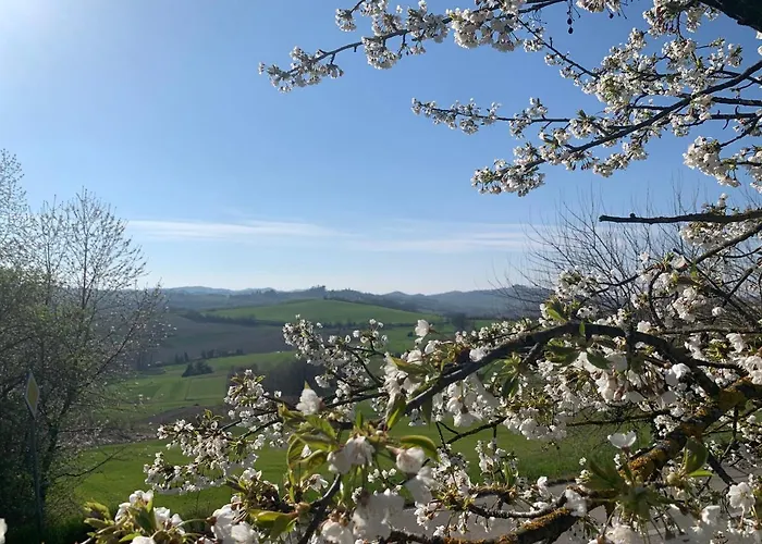 Enoagriturismo L' Acino D'uva مزرعة للإقامة Cunico