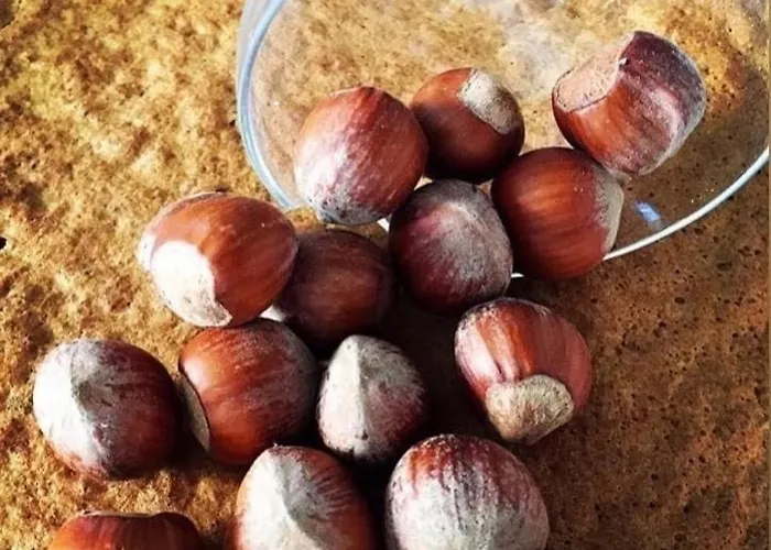 Enoagriturismo L' Acino D'uva مزرعة للإقامة *