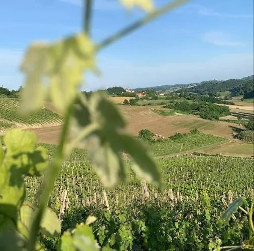 Enoagriturismo L' Acino D'uva *