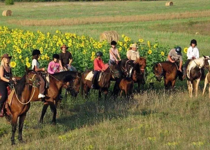 Enoagriturismo L' Acino D'uva Farma Cunico