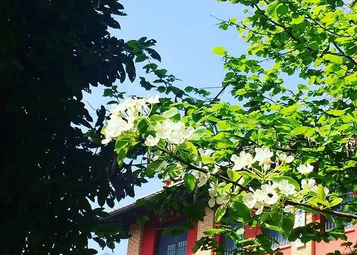 Enoagriturismo L' Acino D'uva