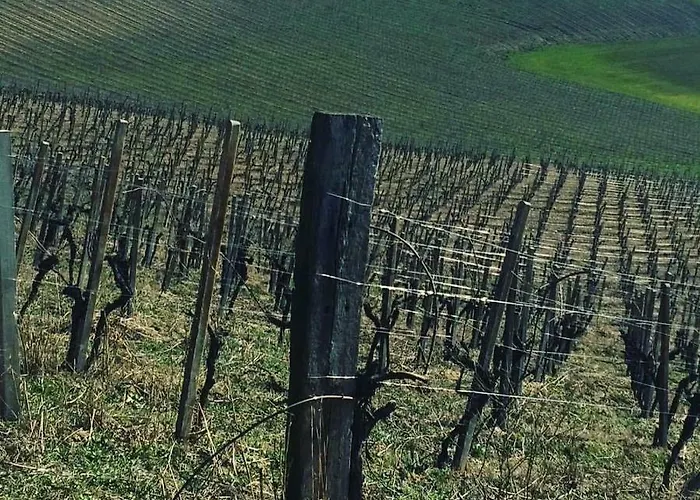 Enoagriturismo L' Acino D'uva